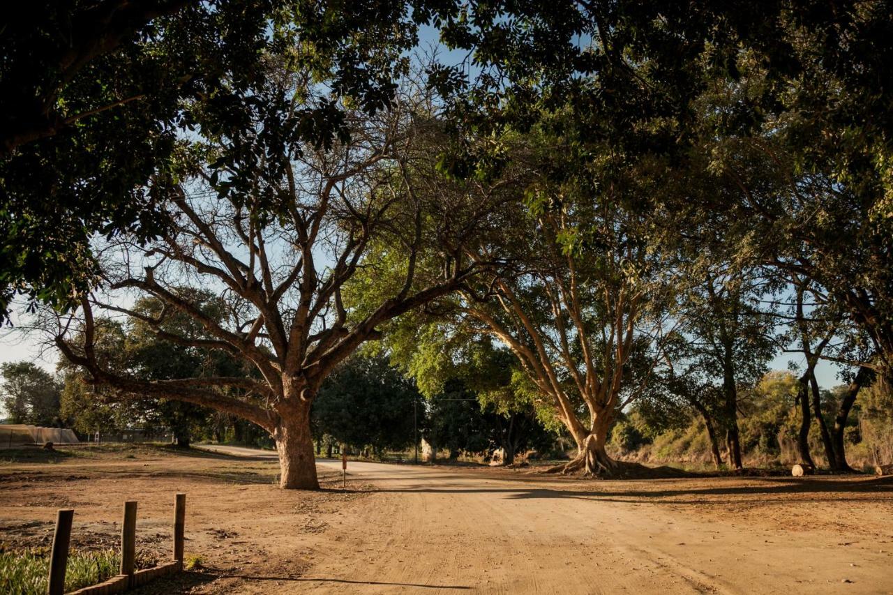 Letaba Junction Lodge Letsitele المظهر الخارجي الصورة